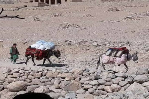 کوچ اجباری باشندهگان دایکندی متوقف شد