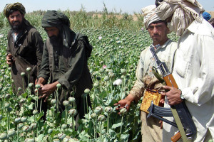 نیروهای خارجی منابع تمویل طالبان را نابود می کنند