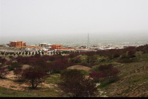 از غصب زمین تا نبود اراضی برای خانواده های شهدا