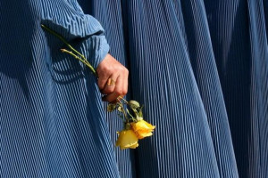 زنان در سال جدید، درخت صلح می کارند