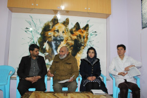 افتتاح اولین مرکز پرورش سگ‌های هوشمند در افغانستان 