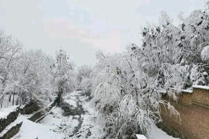 مشکلات خانوادههای مستمند چند برابر میشود