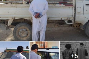 9 تن به جرم قتل و سرقت های مسلحانه از 5 ولایت دستگیر شدند