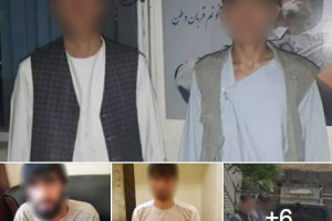 ۱۲ تن در پیوند به جرایم جنایی از کابل دستگیر شدند