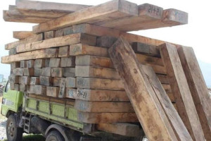     طالبان قطع جنگلات و قاچاق چوب چارتراش را ممنوع اعلام کردند