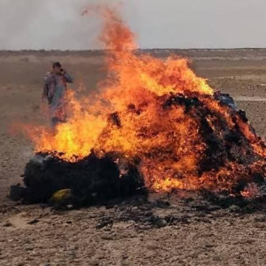 بیش از ۵۰۰ کیلوگرام موی زنانه در نیمروز آتش زده شد