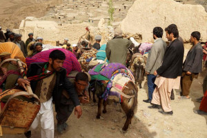10هزار خانواده بر اثر حملات طالبان در ولایت فراه آواره شدند