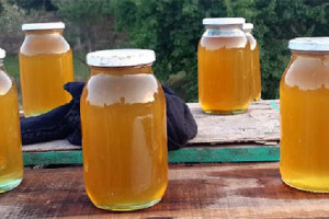 ۵۲ تُن عسل امسال در بامیان تولید می‌شود