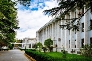 ۹ شهروند افغان از زندانهای عمان آزاد شدند