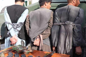پنج تن به جرم اختطاف در فاریاب کشته و دستگیر شدند