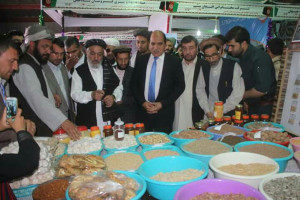 نمایشگاه تولیدات صنایع داخلی در ولایت بادغیس گشایش یافت