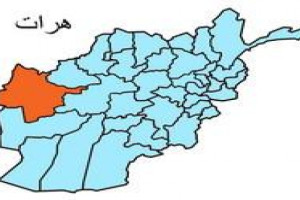 طالبان 5 برادر هراتی را تیرباران کردند