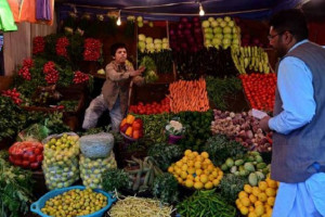 ایران علاقه‌مند سرمایه‌گذاری در بخش زراعت افغانستان است