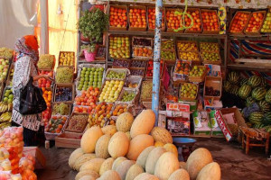 پاکستان از میوه‌های صادراتی افغانستان مالیه نمی‌گیرد