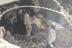 طرح جمع آوری معتادین به مواد مخدردرکابل اجرائی شد