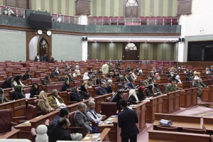 مجلس نمایندگان به دلیل مداخله دولت کارایی اش را از دست داده است