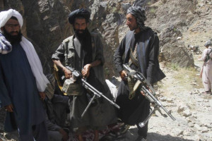 طالبان مسلح 100 راس گوسفند را از سرپل سرقت کردند