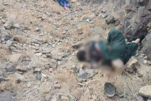 پنج طالب در ولسوالی ادرسکن ولایت هرات کشته شدند