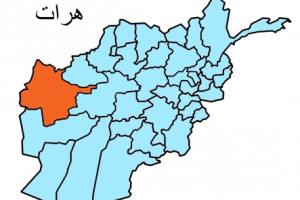 دو عروس و دختر ولسوال گلستان فراه در هرات ترور شدند