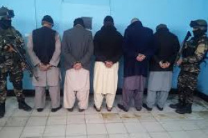بازداشت پنج تن به اتهام سرقت و حملات تروریستی در هرات 