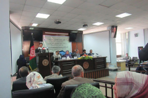 سرشماری ها نشان می دهد جمعیت افغانستان به 29.2 میلیون رسیده است