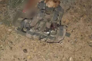 یک سگ مجهز با مواد انفجاری در ولایت لوگر کشته شد