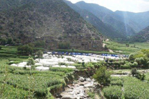 نصب بیش از ۵ هزار خیمه برای زلزلهزدگان کنر