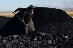 بهای یک تن زغال سنگ نه هزار افغانی تعیین شد