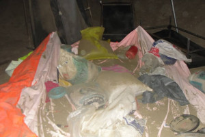 تخریب 12 کارخانه پروسس مواد مخدر در غزنی