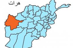 حمله انتحاری در هرات یک کشته برجا گذاشت