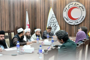 دلاور و رییس بینالمللی صلیب سرخ دیدار کردند