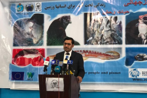 شکار و قاچاق حیوانات؛ تهدیدی برای حیات وحش افغانستان
