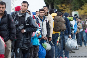 70درصد پناهجویان افغان در سال 2016 در آلمان درخواست پناهندگی دادند