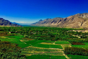 درگیری  بر سر آب چاه جان یک تن را گرفت