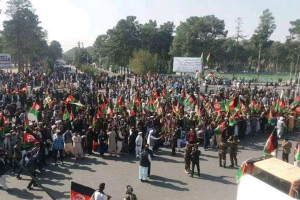 مردم هرات از برگزاری انتخابات حمایت کردند