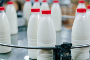 سالانه بیش از یک میلیارد لیتر شیر در کشور تولید می‌شود