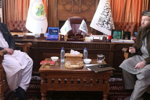 سرپرست وزارت زراعت با مسوولان موسسه اسلو  دیدار کرد