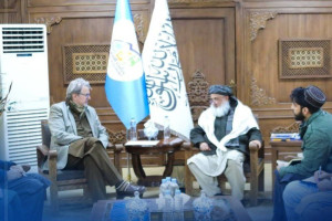 دین محمد حنیف با رییس کمیته ناروی برای افغانستان دیدار کرد