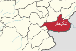 عضو گروه طالبان در ننگرهار بازداشت گردید