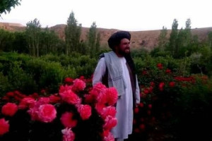 والی نام نهاد طالبان برای میدان وردک به قتل رسید