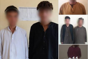 ۱۱ تن به اتهام جرایم جنایی از ولایت هرات بازداشت شدند
