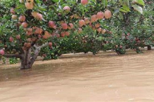 سیلاب در میدان وردک خسارات هنگفت برجای گذاشت