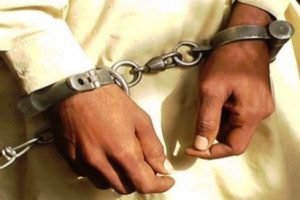 یک فرمانده ارشد گروه حقانی در پکتیا بازداشت شد