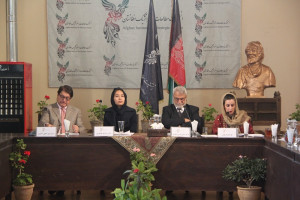 سهمیه‌بندی بر مبنای قومیت، سیاسیت گذاری‌ رسمی دولت افغانستان