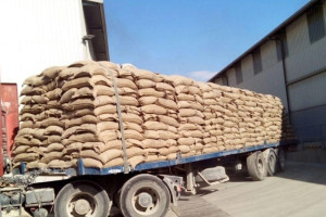 آمادگی ایران در انتقال 50 هزار تن گندم کمکی هند به افغانستان
