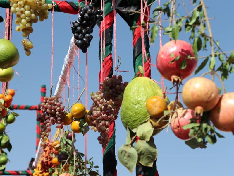 محصولات زراعتی افغانستان در کابل به نمایش گذاشته شد