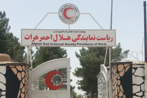 هلال احمر هرات به زلزلهزدگان این ولایت کمک کرد