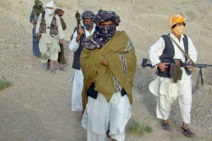فرمانده ارشد طالبان در ولایت فاریاب کشته شد