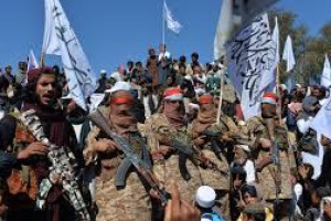 طالبان روابط شان را با تروریستان بین‌المللی شدت بخشیده‌اند