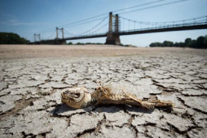کمیسیون اروپا از خشکسالی بی‌سابقه هشدار داد